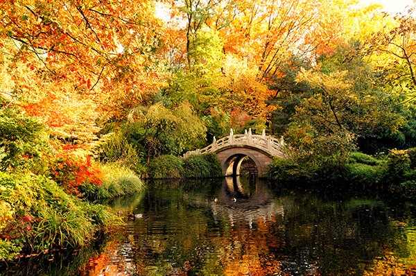 Foto Wolff-Foto des Monats Oktober 2018: Brücke im Zoo Duisburg im Herbst, von Gabi Hellmich
