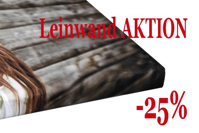 Leinwand-Aktionspreis minus 25 Prozent
