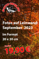Sonderangebot September 2023: Fotos auf 20 x 30-Leinwand 