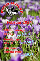 Sonderangebote Februar 2024 - Fotoabzüge + Valentins-Fotoshooting