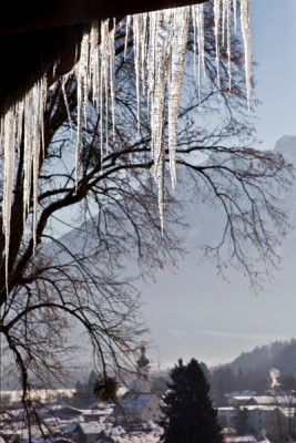 Foto Wolff-Foto des Monats Januar 2018: Eiszapfen, von Dr. Udo Werner