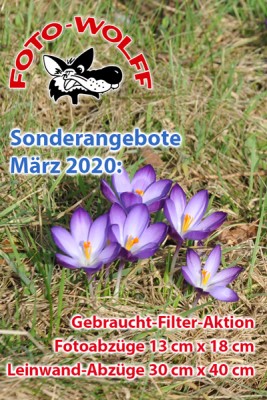 Sonderangebote bei Foto Wolff Dinslaken im März 2020