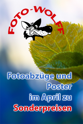 Fotoabzüge und Poster im April 2022 zu Sonderpreisen
