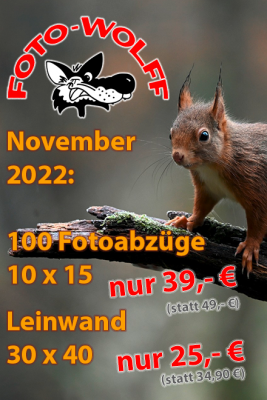 November 2022: Fotoabzüge 10 x 15 und Leinwand-Fotodruck 30 x 40 zum Sonderangebot