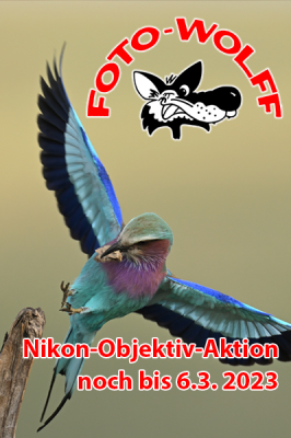 Nikon-Objektiv-Aktion noch bis 06.03.2023