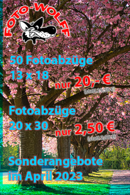 Sonderangebote im April 2023