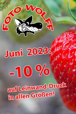 Sonderangebot Juni 2023: 10 % auf Leinwand-Druck