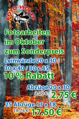 Fotoarbeiten-Sonderangebote im Oktober 2024