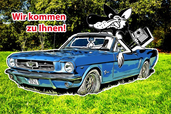 Der Foto Wolff-Comic-Wolf als Fotograf im blauen 1965er Ford Mustang