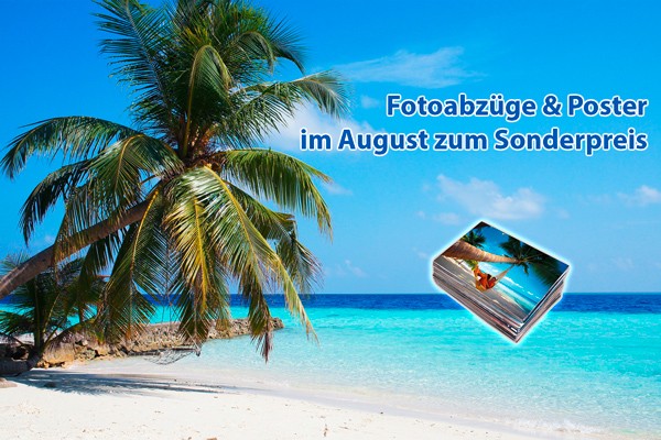 August-Sonderangebote bei Foto Wolff in Dinslaken