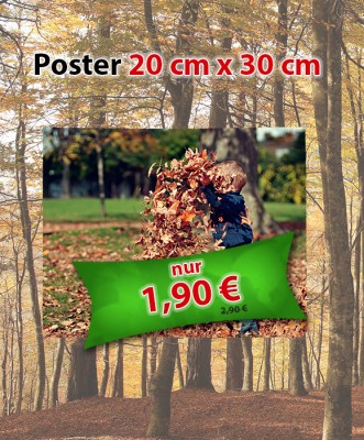 Sonderangebot November 2018: Posterabzug 20 cm x 30 cm für 1,90 €