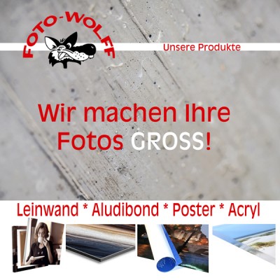 Wir machen Ihre Fotos groß - Titelseite der aktuellen Foto Wolff-Fotoarbeiten-Broschüre